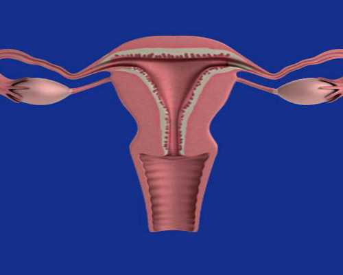 正规供卵中心_专业供卵机构地址,【天津供卵机构卵巢早衰做供卵】我怀儿子的