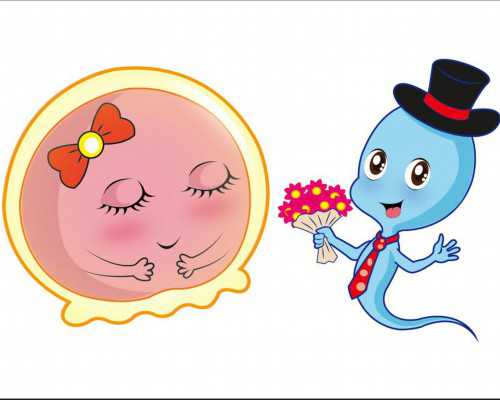 江苏代怀生子需要多少钱，附试管助孕费用明细！