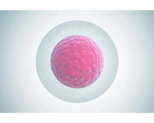 准成都助孕妈妈智慧迎战感冒发烧