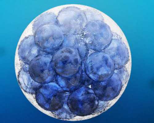 大连失独代孕_咨询代怀