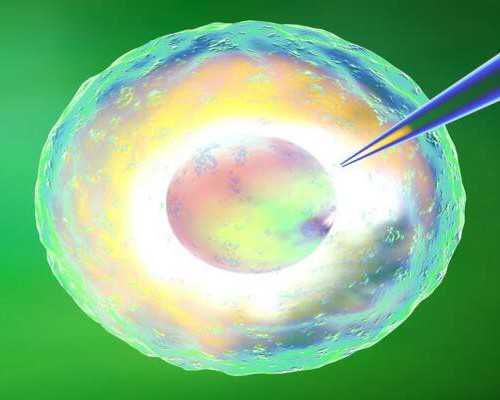 供卵中心有哪些_如何接受供卵,北京供卵价格表（北京供卵北医三院供卵价格）