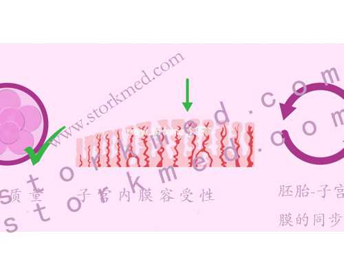 深圳助孕价格,深圳代生男孩,深圳代生妈妈-生殖代孕医院排名-生孩子代孕公司
