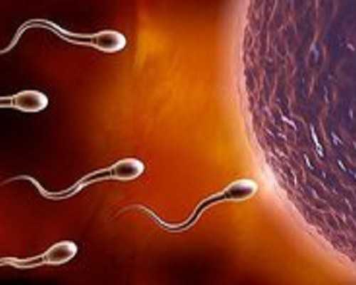 乌克兰供卵生儿子_供卵试管供卵婴儿,2024北京三代供卵试管生男孩医院名单，附