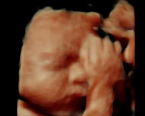 医院做供卵多少钱_世纪供卵公司,宜春市2024年最新供卵试管助孕医院排名-内附