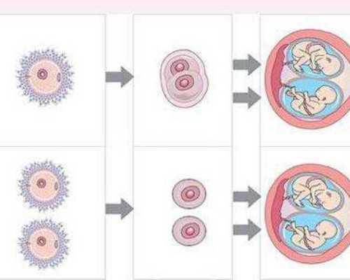 深圳助孕价格,深圳代生男孩,深圳代生妈妈-代孕哪个医院好-代孕套餐详情