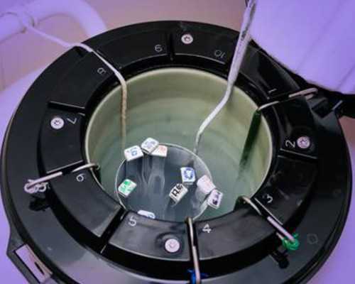 2025年代怀生子需要多少钱？揭秘海外代怀生子的内幕？
						