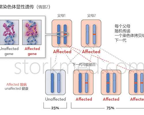 供卵借卵_试管接受供卵,河南私立供卵医院：北京能做供卵的私立医院-上海供卵