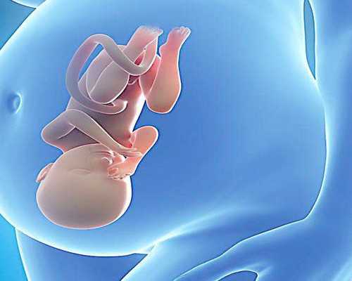 深圳助孕价格,深圳代生男孩,深圳代生妈妈-正规试管代孕医院-最好代孕机构