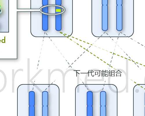 国内供卵合法吗_做供卵试管助孕,湖南供卵试管费用分享湖南湘潭中心医院做供
