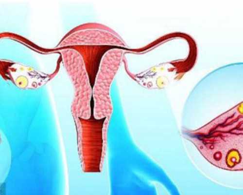 哪里有供卵的公司_用供卵怀孕步骤,【深圳供卵试管机构怎么找人供卵】生完宝