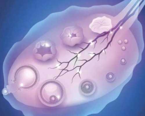 -欧易_试管代孕正哪家好