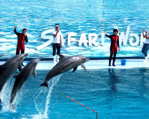 宝宝几个月认识成都助孕妈妈