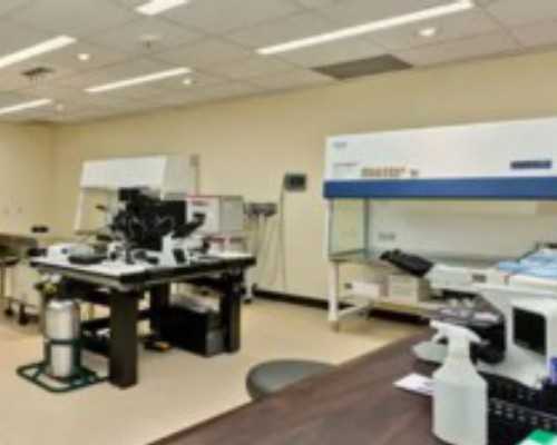 阿拉尔第三代试管成功率如何