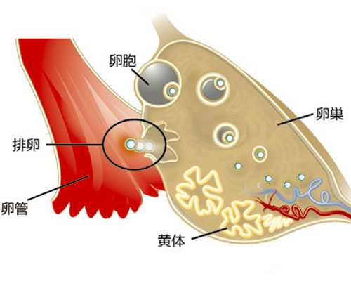 准成都助孕妈妈“五防”轻松度夏