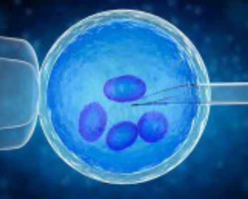 产后做好4件事新手成都助孕妈妈少烦恼