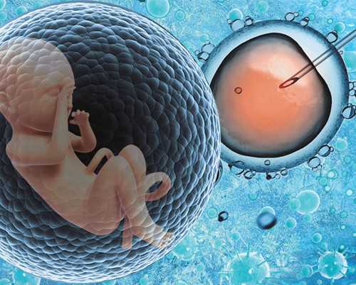 2024
郑州哪家借卵做试管婴儿的医院最好呢？-专业代孕价格_代孕医院价格