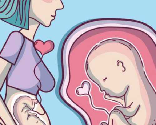 找人供卵合法吗_供卵要等多久,供卵试管医院成功率排名？国内正规供卵试管医