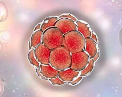 备孕成都助孕妈妈应该如何科学合理的补充能量？这8点必不可少