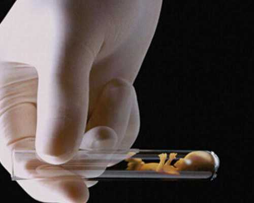 上海试管借卵医院排名，附代怀助孕机构一览！