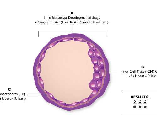 哺乳期成都助孕妈妈便秘宝宝也会便秘吗