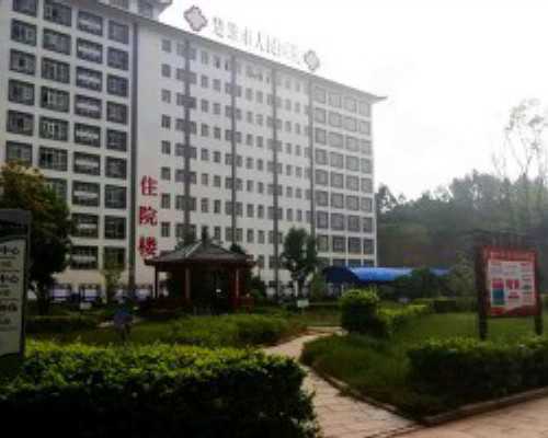 上海试管代怀生子能包男孩吗多少钱？