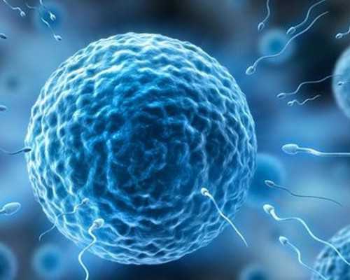 -胚胎移植-代孕医院的价位