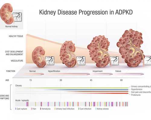 私立供卵安全吗_公立的供卵医院,天津2024
供卵机构排名已发布！附供卵生男孩