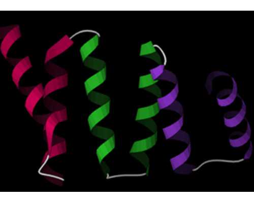 大连失独代孕_b超看男女