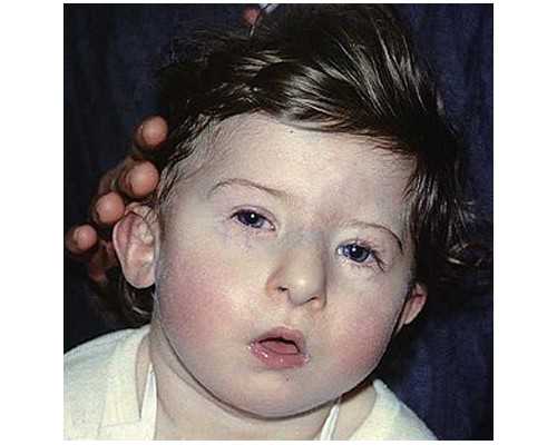 试管婴儿辅助生殖技术适用于哪些情况？-哪里做代孕最好_供卵代孕哪家好