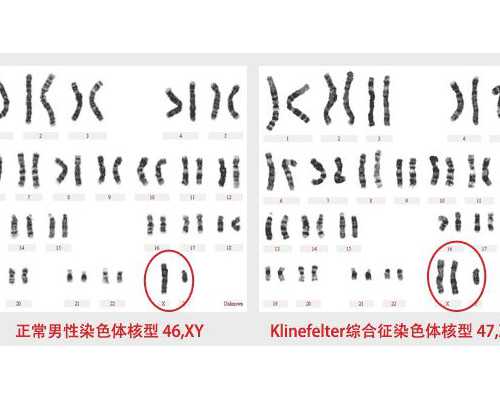 广州两公司违法宣传海外代孕生子被查,广州找女人代孕电话_输卵管不孕